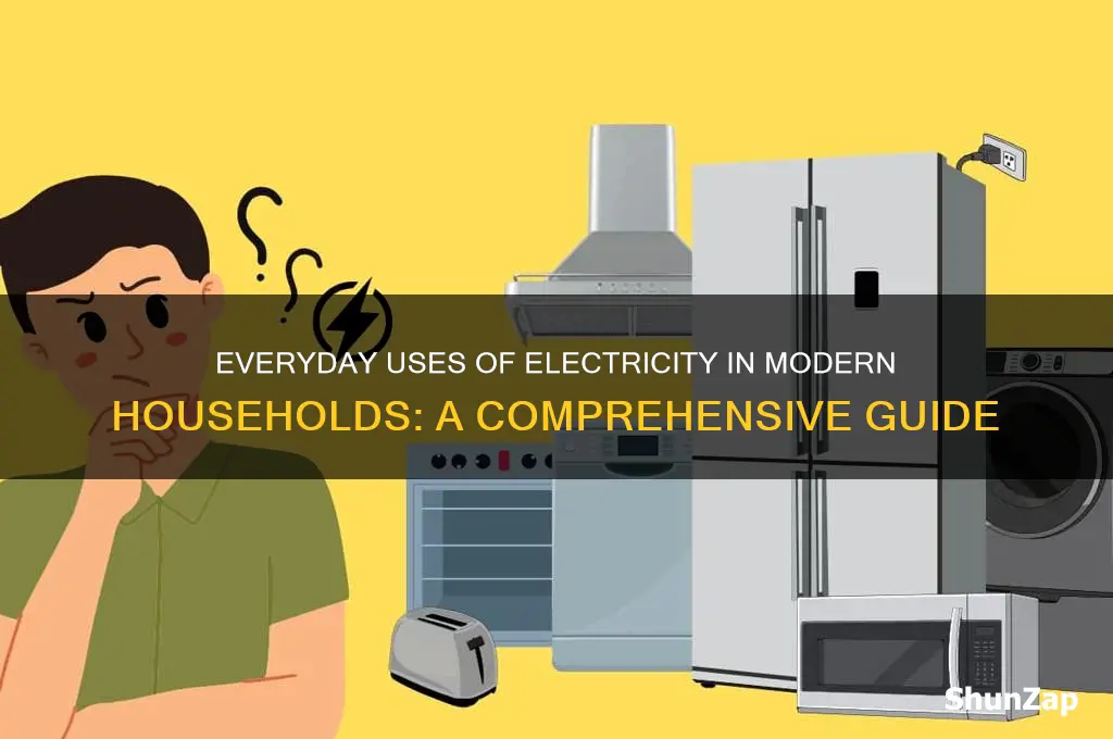 when electricity is generally used in houses