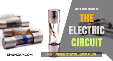 Electric Circuit Fuses: Why They Blow and How to Prevent It