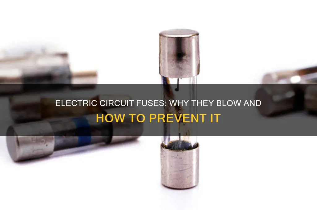 when fuse blows of the electric circuit