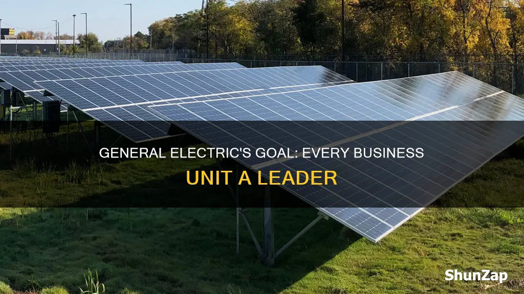when general electric company sets a goal that every business