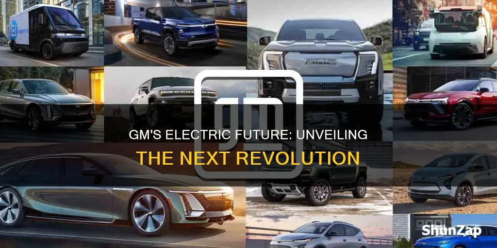 when gm next electric vehicle