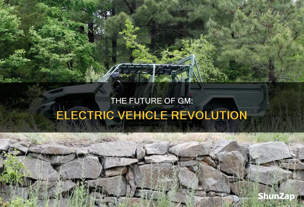 when gm next electric vehicle
