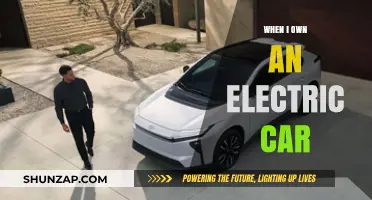 When I Own an Electric Car: My Sustainable Journey Ahead
