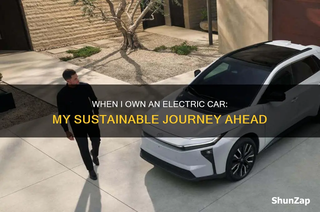 when i own an electric car