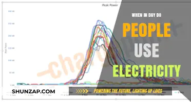 Daily Electricity Usage Patterns: Peak Hours and Energy Consumption Trends