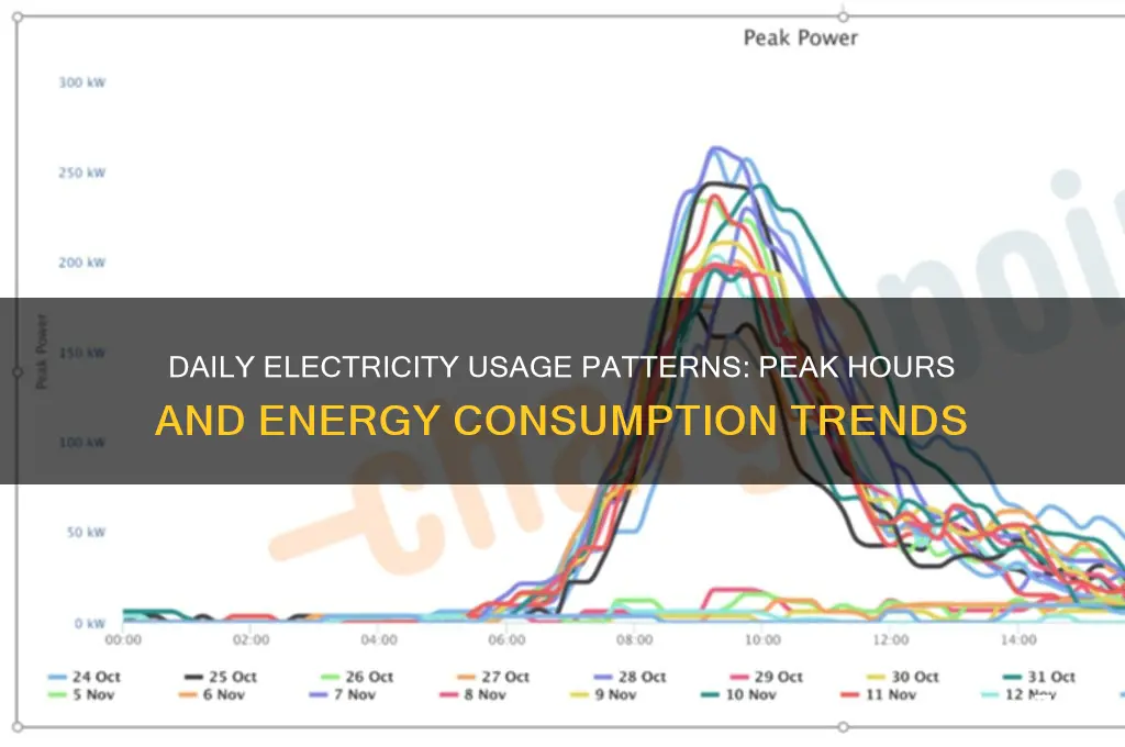 when in day do people use electricity