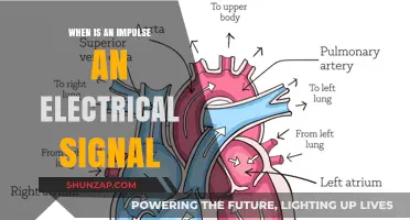 How Electrical Impulses Power Our World