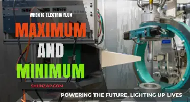 Understanding Electric Flux Extremes