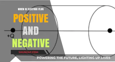Understanding Electric Flux Polarity
