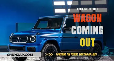 Electric G-Wagon: Release Date and What to Expect