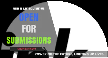 Electric Literature Submission Opportunities: When and How to Submit