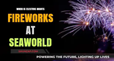 Electric Nights Fireworks: Seaworld's Spectacular Summer Event