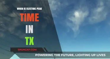 Understanding Texas' Electric Peak Time and Demand