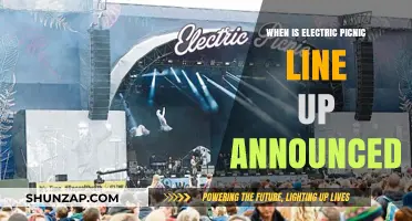 Electric Picnic Lineup: When to Expect the Announcement