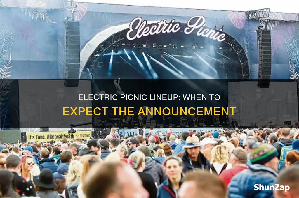 when is electric picnic line up announced