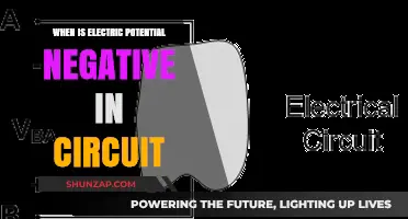 Understanding Negative Electric Potential in Circuits
