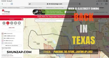 Texas Electricity Outage: When Will Power Return?