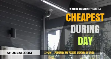 Seattle Electricity: Cheapest Times of the Day
