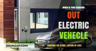 Ford's Electric Vehicle Launch: What's the Timeline?