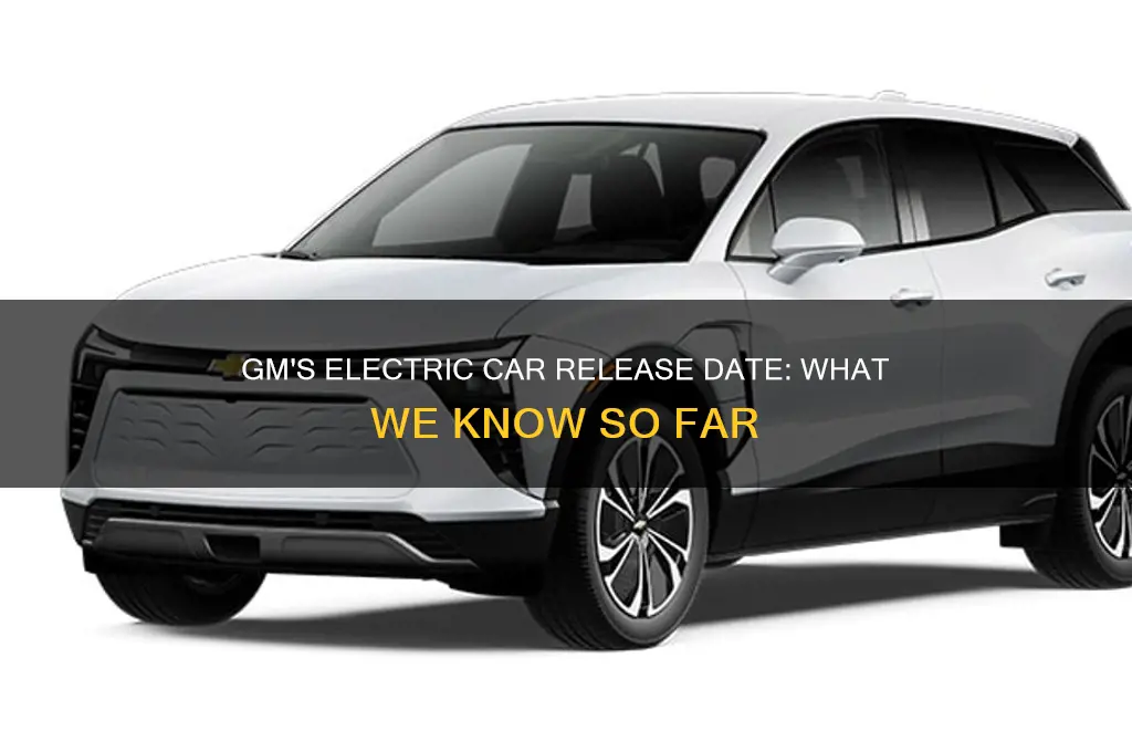 when is gm coming out with electric cars