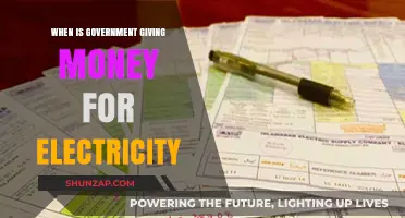 Government Subsidies for Electricity: When and How to Get Them