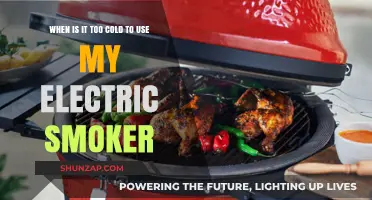 Electric Smoker Temperature Limits: When Cold Weather Halts Smoking