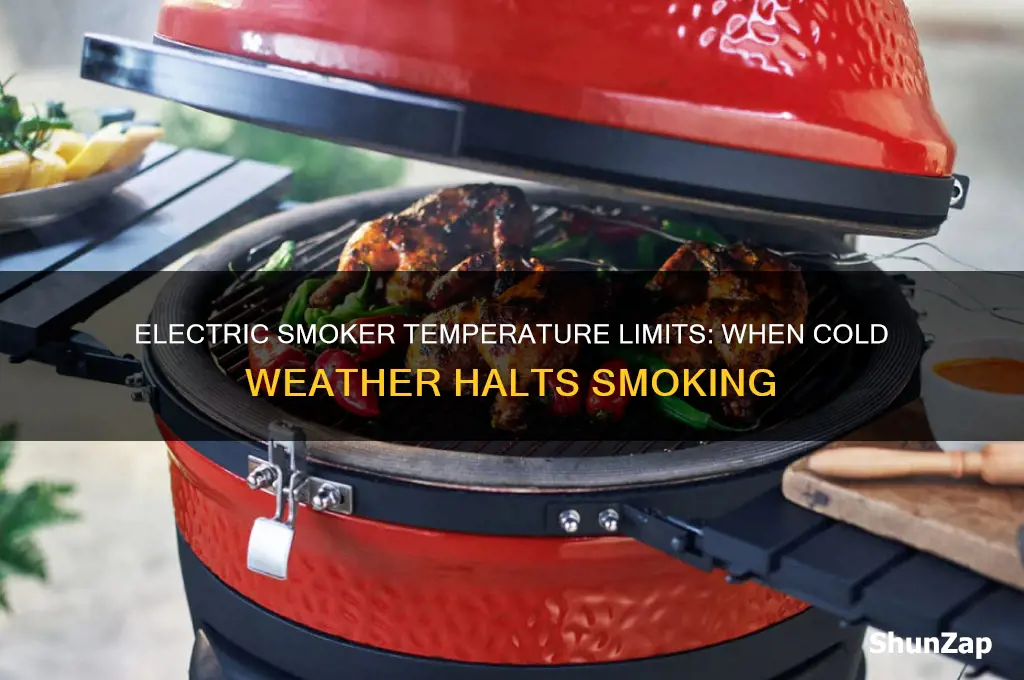 when is it too cold to use my electric smoker