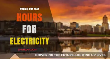 PDX Electricity: Peak Hours and How to Save