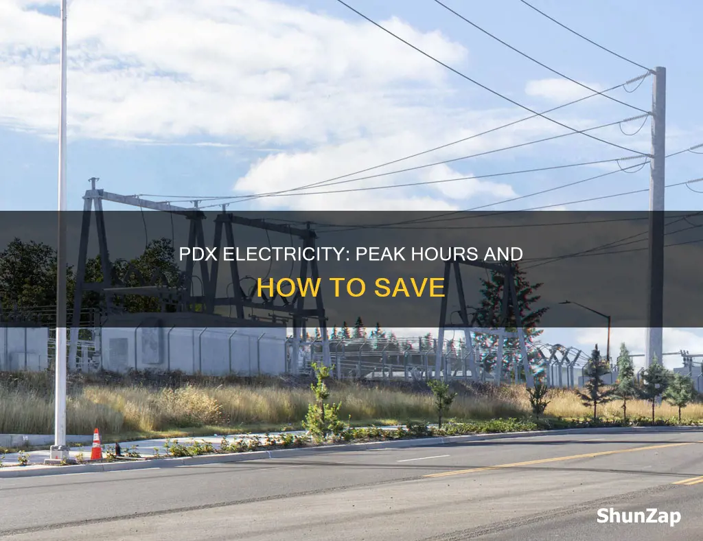when is pdx peak hours for electricity