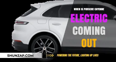Porsche Cayenne Electric: Release Date and Specs