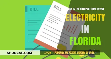 Save on Florida Electricity: Discover the Cheapest Usage Times