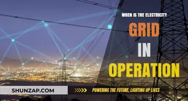 The Electricity Grid: Operational Hours Explored