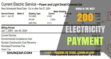 The Next 200 Electricity Payment: When and How to Pay