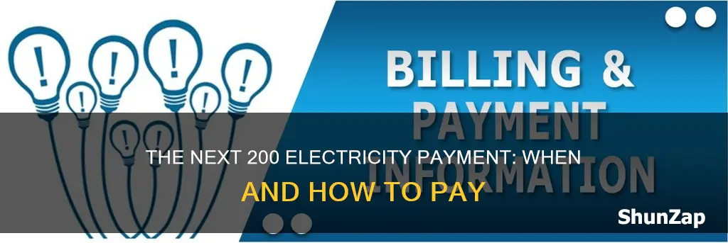when is the next 200 electricity payment
