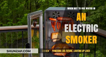 Avoid Water in Electric Smokers: Key Situations and Best Practices
