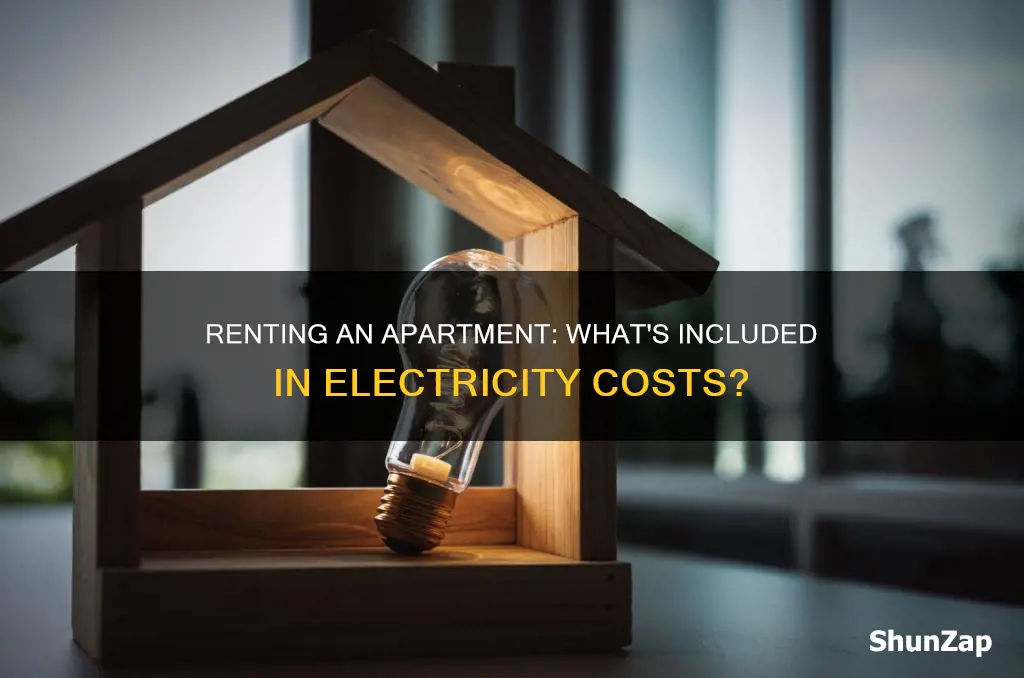 when renting an apartment is electricity included