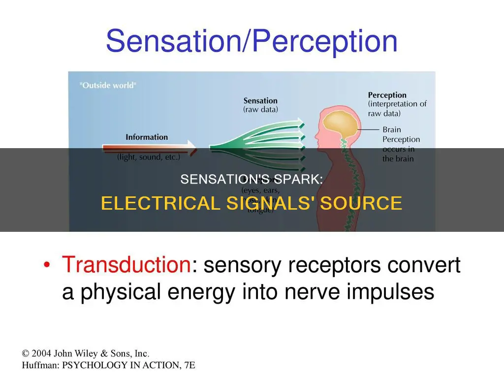 when sensation turns into an electrical signal