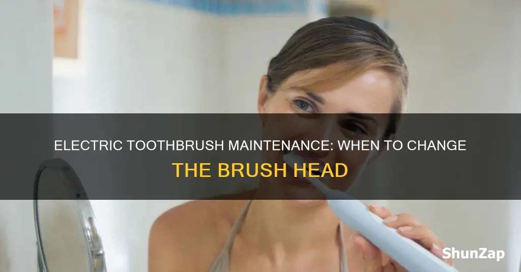 when should u changr electric toothbrush head