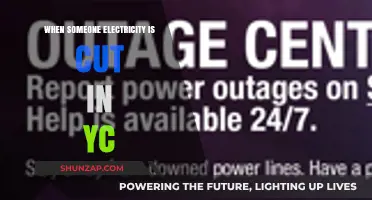 Unexpected Power Outage: Navigating the Chaos