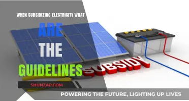 Electricity Subsidies: Guidelines and Considerations