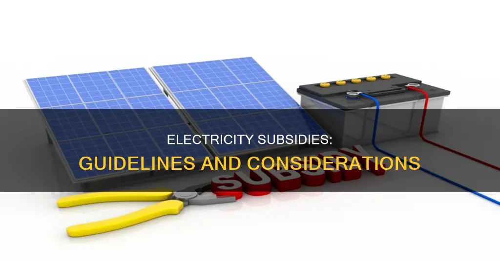 when subsidizing electricity what are the guidelines