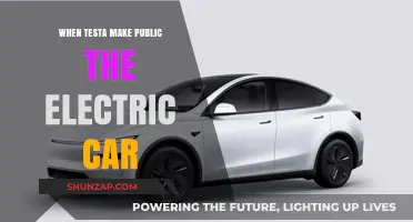 When Testa Unveils Its Electric Car: A Game-Changer for the Industry