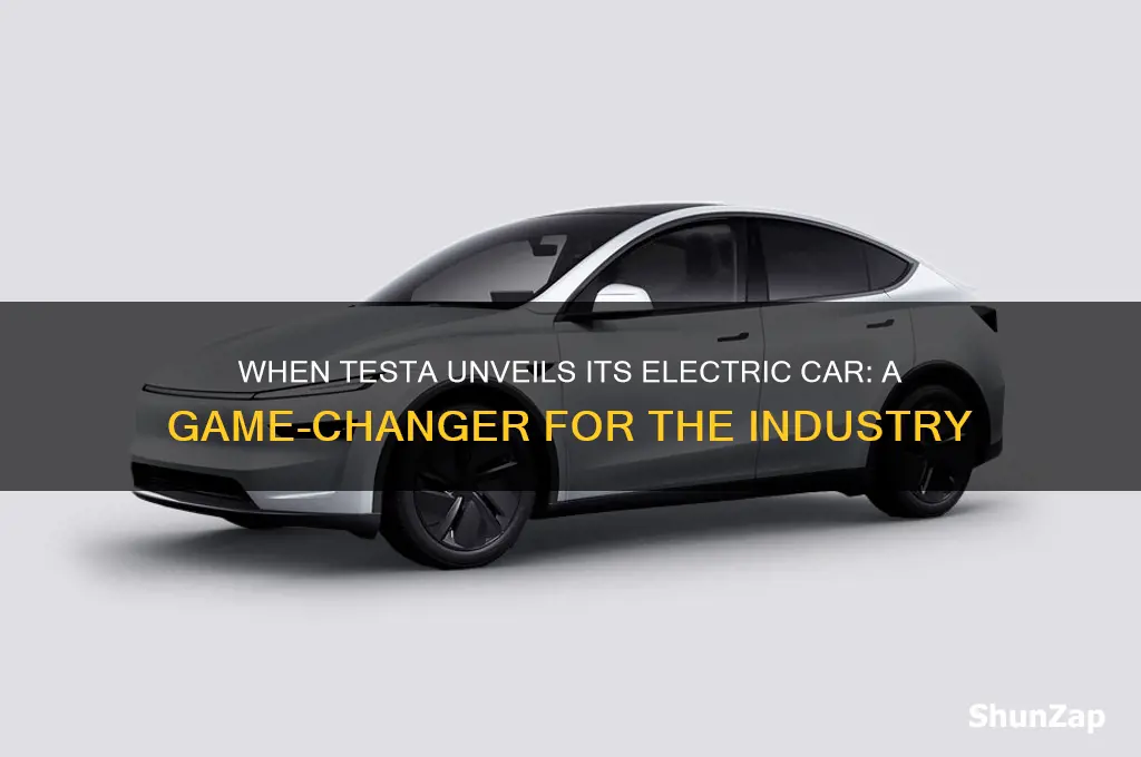 when testa make public the electric car