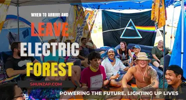 Electric Forest: Arrival and Departure Strategy