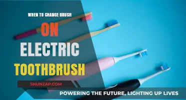 Electric Toothbrush Care: When to Change Brush Heads