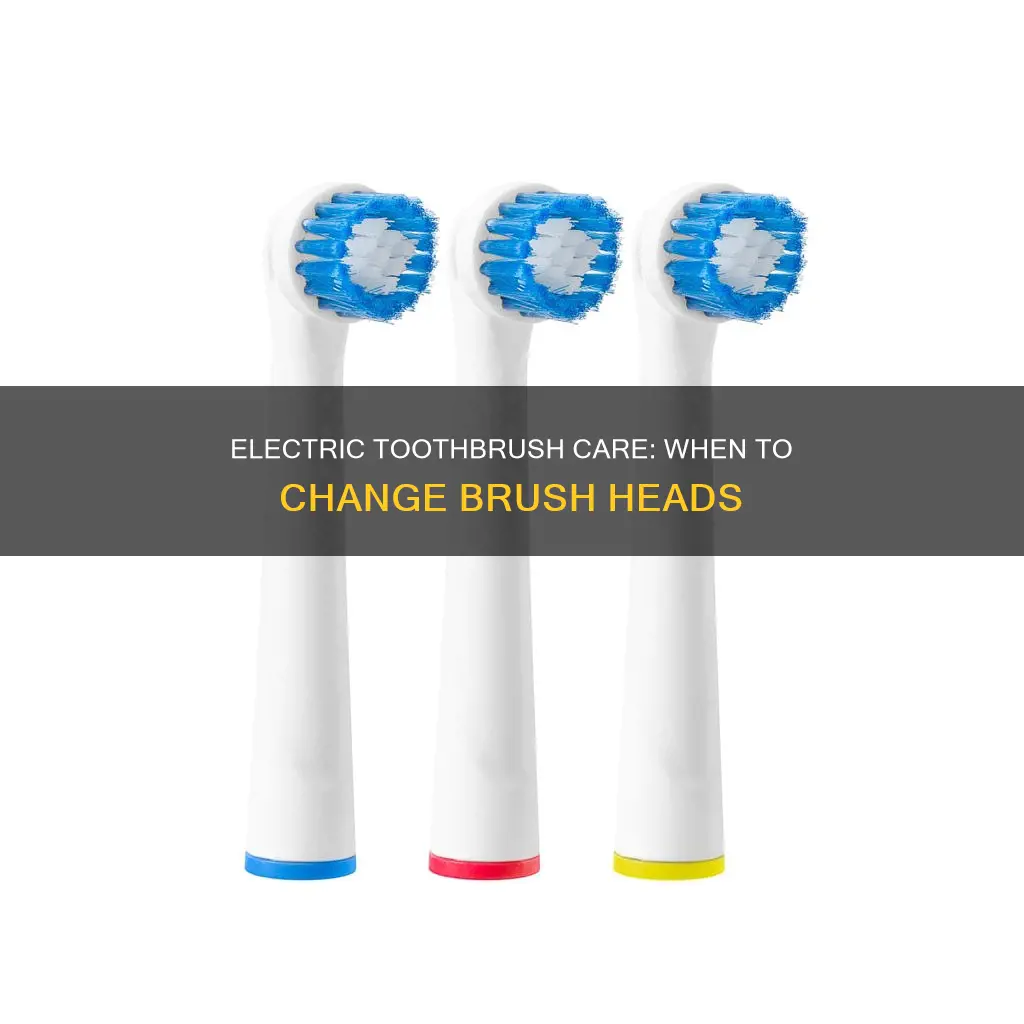 when to change brush on electric toothbrush