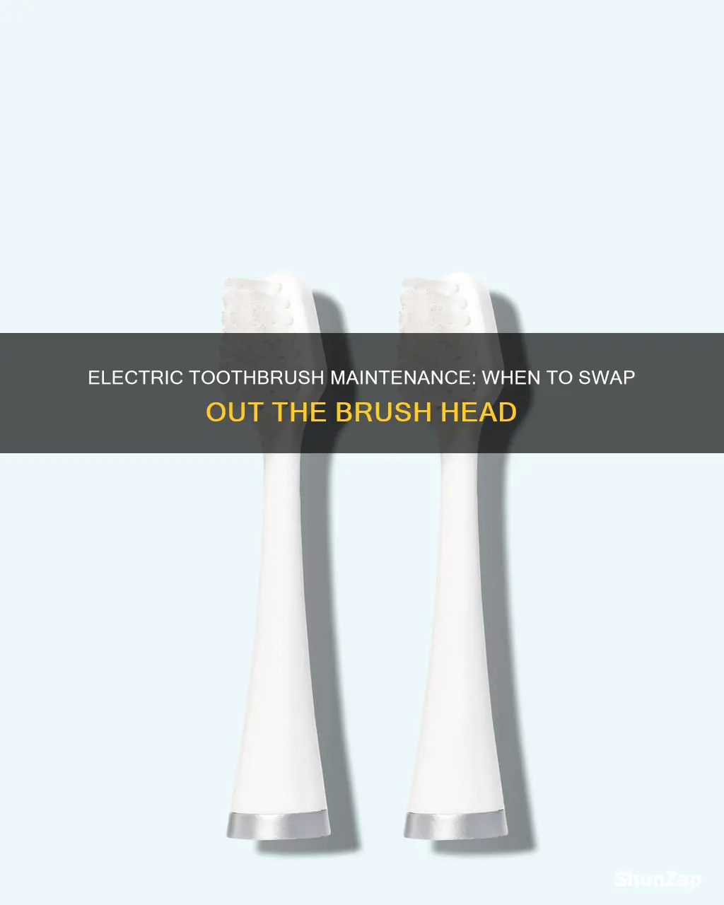 when to change head on electric toothbrush