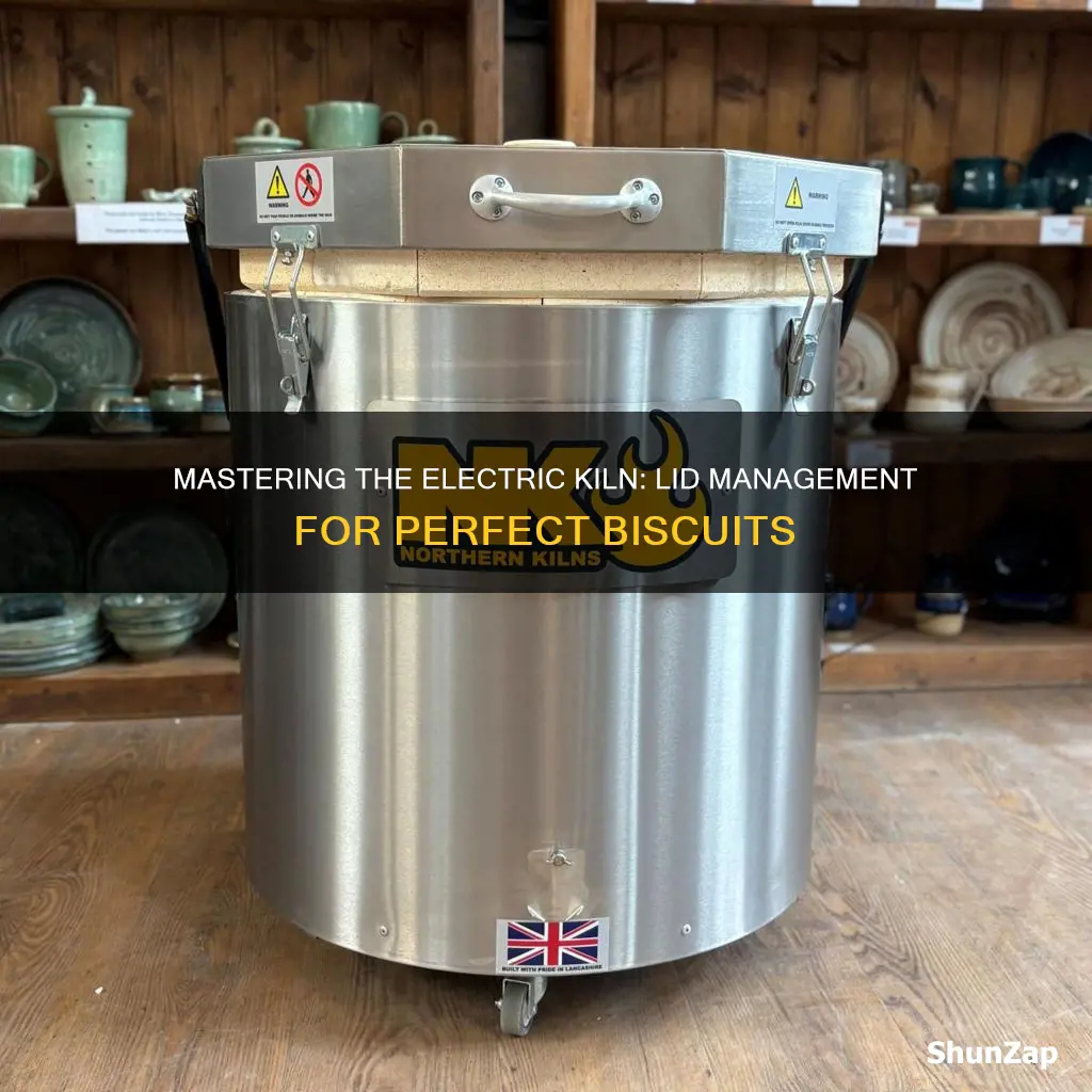 when to close kiln lid electric bisc
