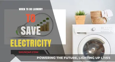 Laundry Timing: Saving Electricity with Smart Scheduling