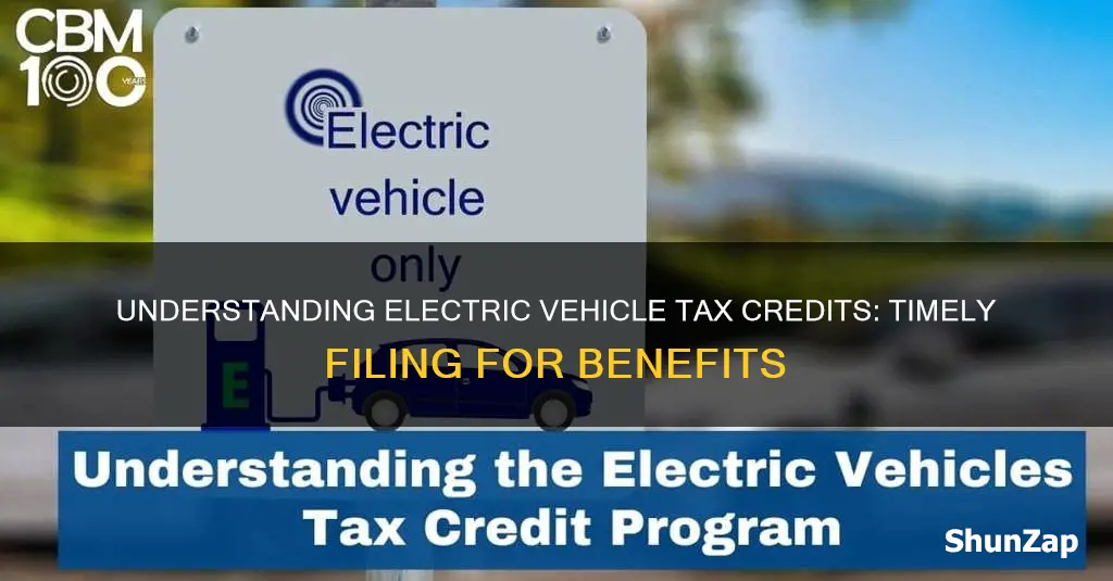 when to file electric vichiale tax credit
